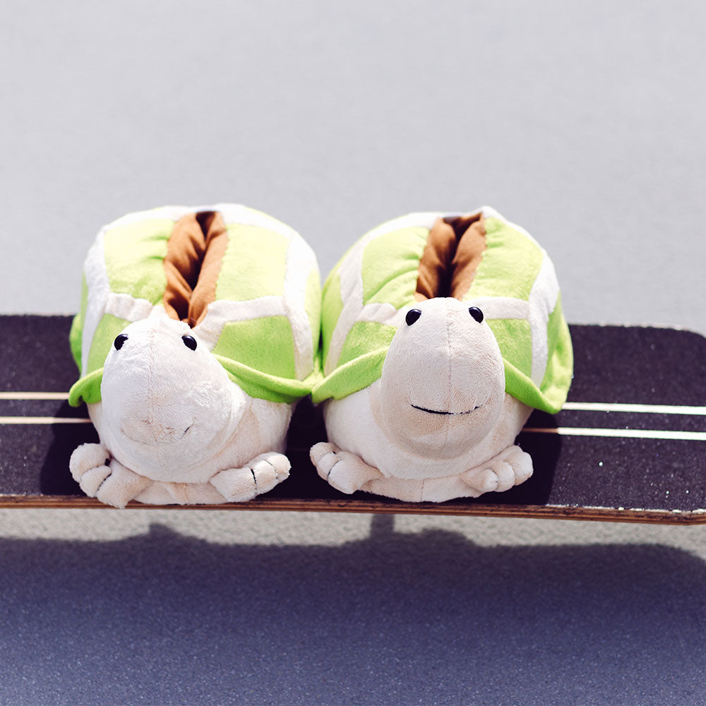 Ein Paar Schildkröten Hausschuhe auf einem Skateboard